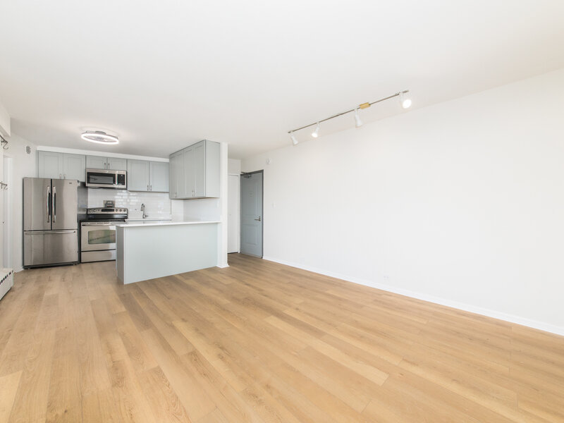 3410 N Lake Shore Drive Chicago IL 60657