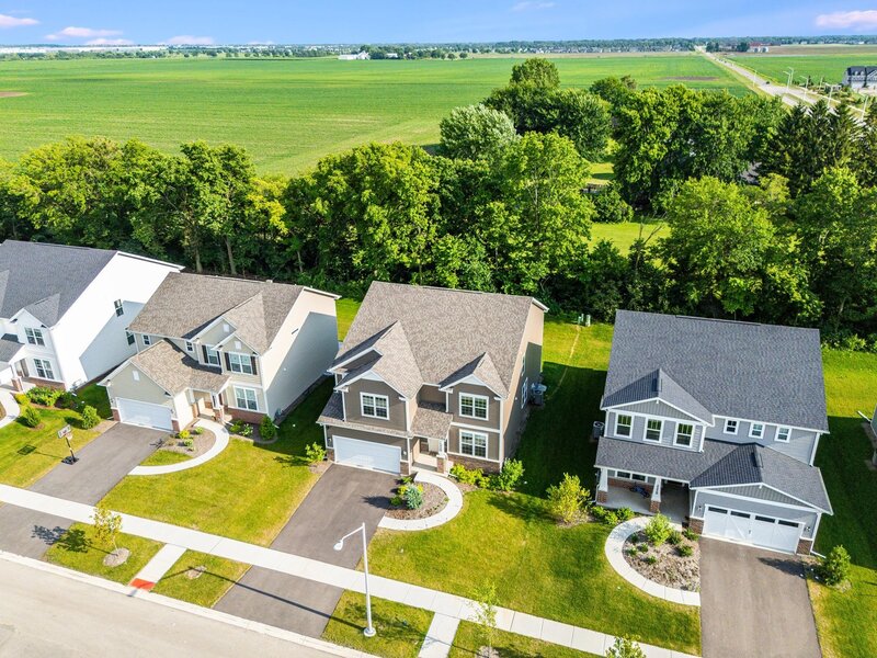 2225 Bent Grass Way Bolingbrook IL 60490