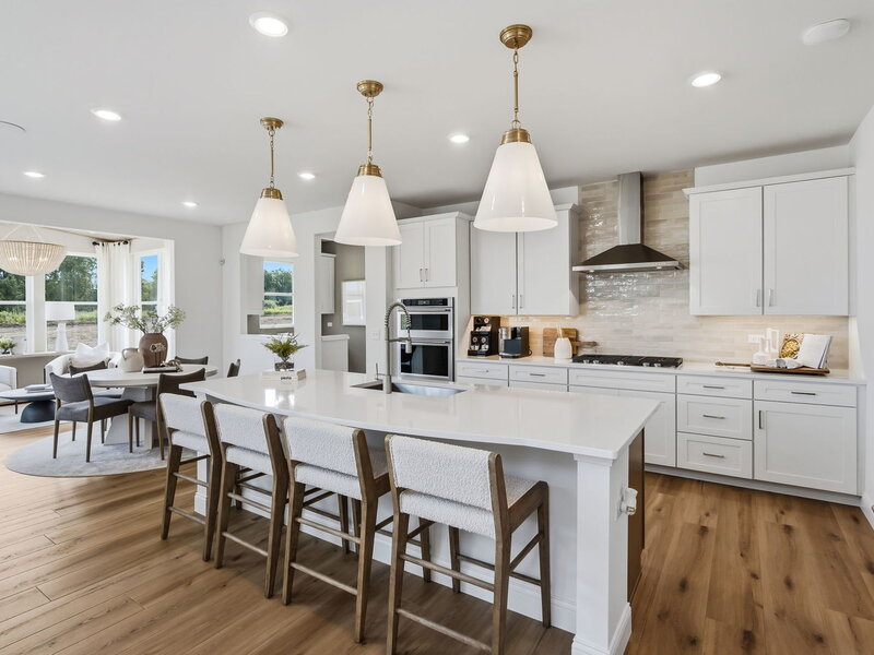 16210 Alessandra Drive Orland Park IL 60467