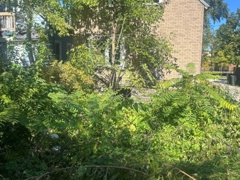 15 W 104th Place Chicago IL 60628