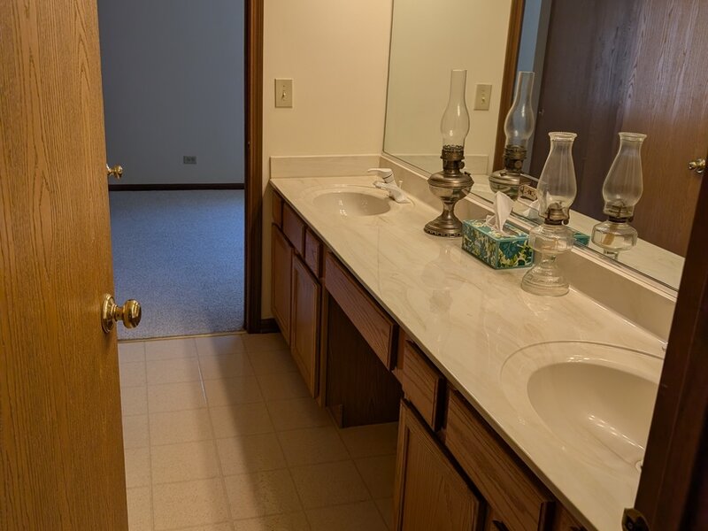 293 W Treehouse Lane Round Lake IL 60073