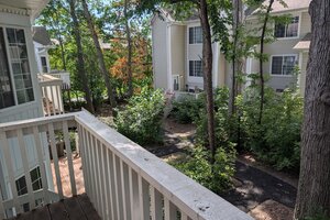 Photo of 293 W Treehouse Lane Round Lake IL 60073