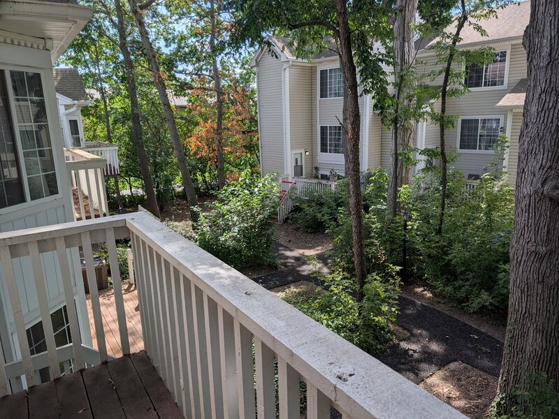 293 W Treehouse Lane Round Lake IL 60073