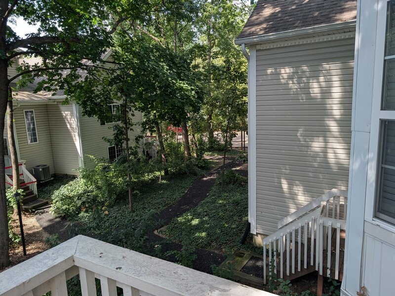 293 W Treehouse Lane Round Lake IL 60073