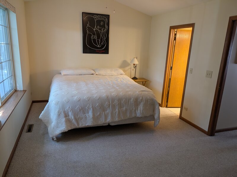 293 W Treehouse Lane Round Lake IL 60073