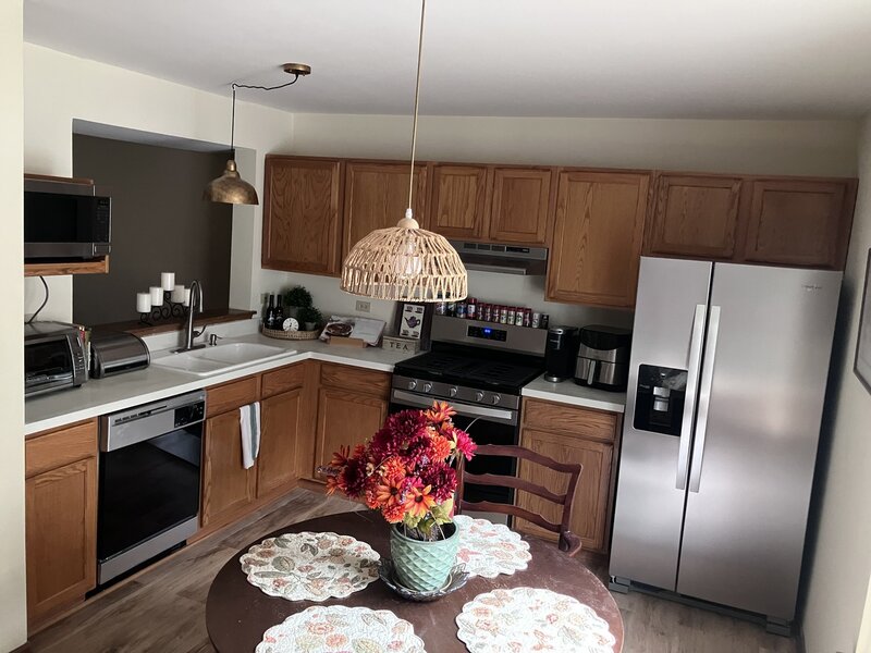 293 W Treehouse Lane Round Lake IL 60073