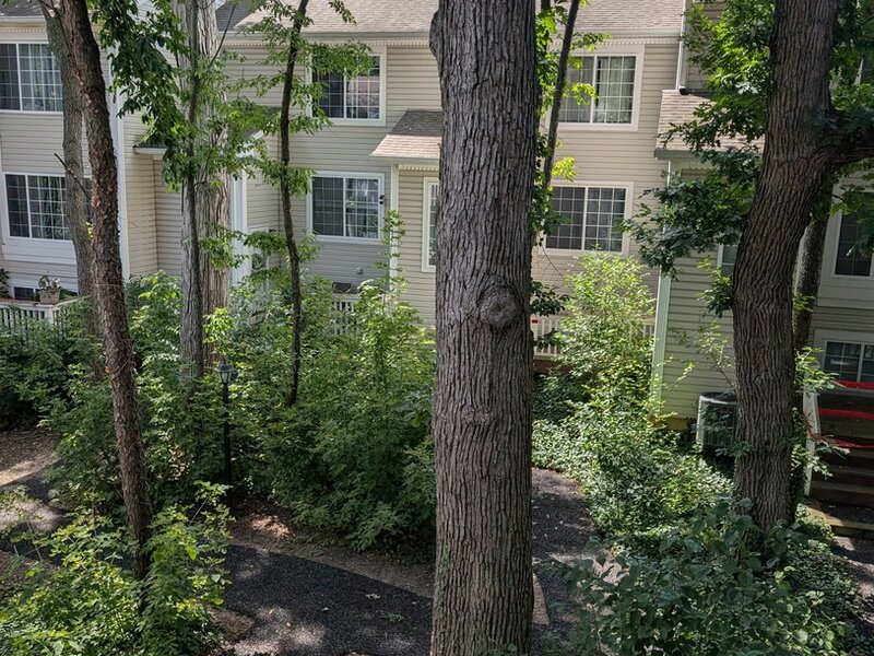 293 W Treehouse Lane Round Lake IL 60073
