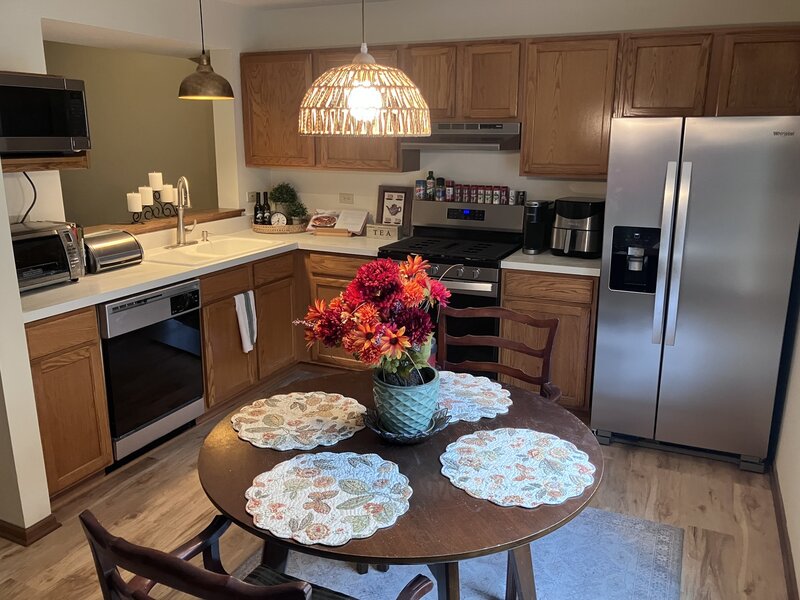 293 W Treehouse Lane Round Lake IL 60073