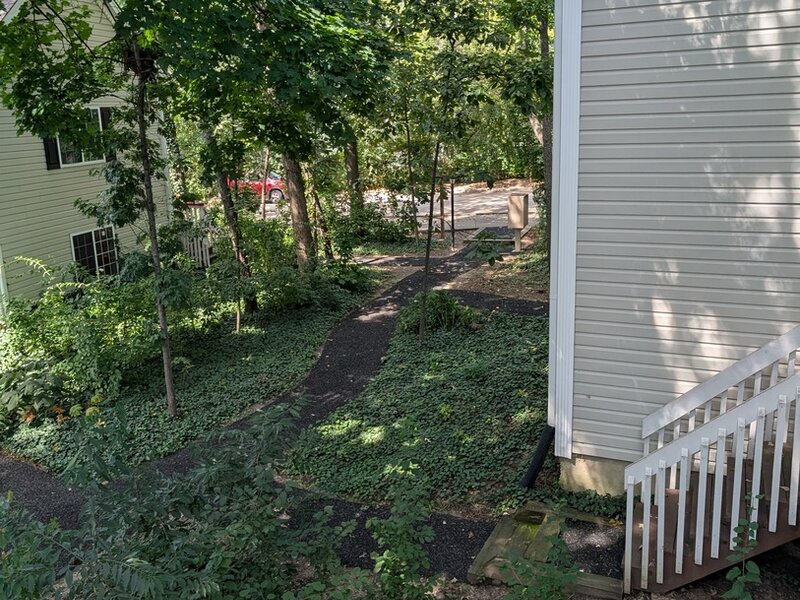 293 W Treehouse Lane Round Lake IL 60073