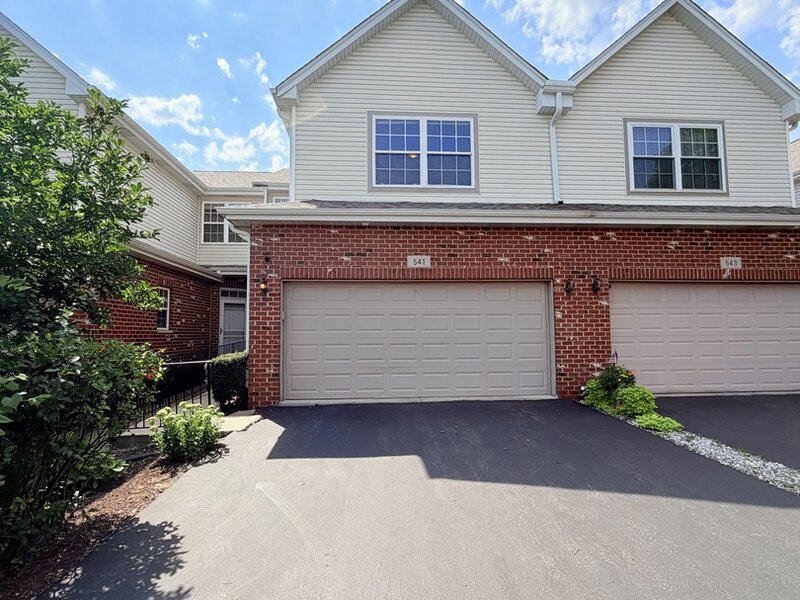 541 Goodwin Drive Bolingbrook IL 60440