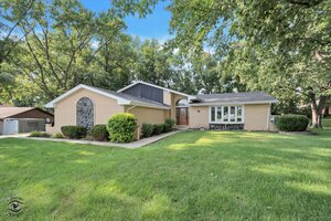 Photo of 13618 W Meath Drive Homer Glen IL 60491