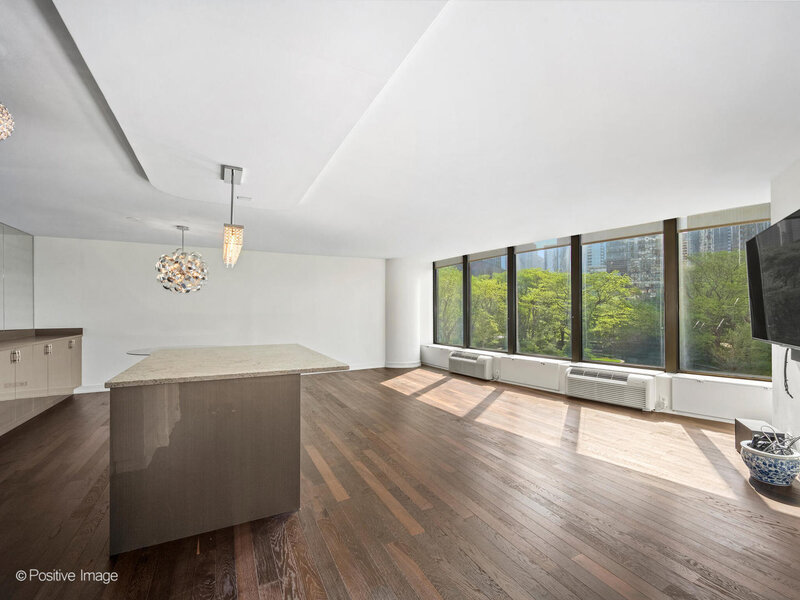 505 N Lake Shore Drive Chicago IL 60611