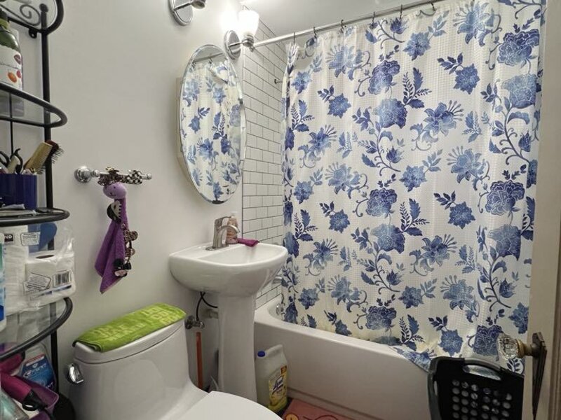 5039 S Christiana Avenue Chicago IL 60632
