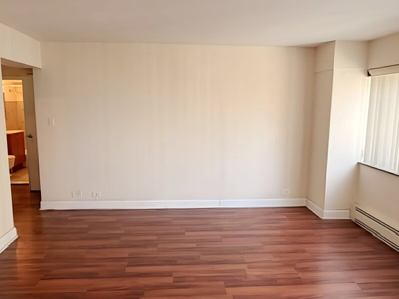 7337 S South Shore Drive Chicago IL 60649