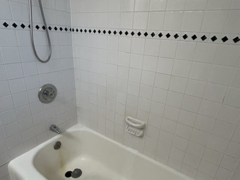 1531 Bonnie Brae Place River Forest IL 60305