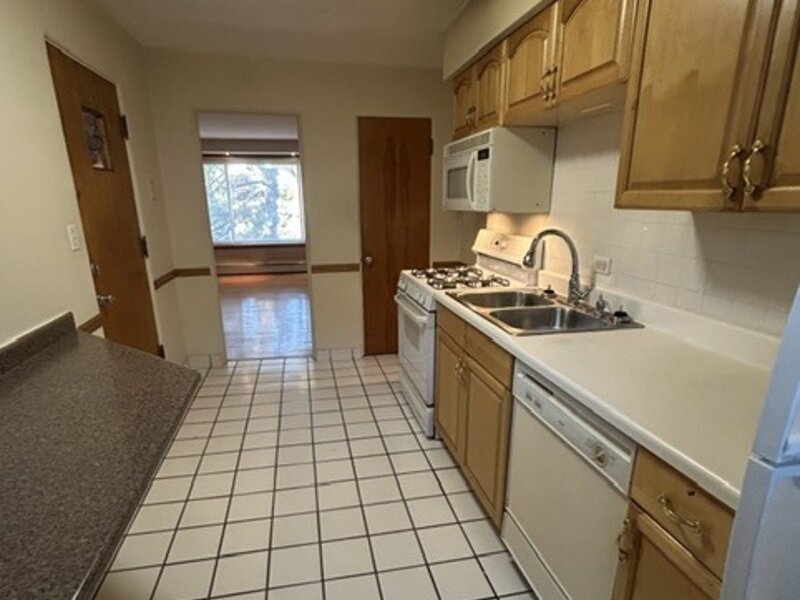 1531 Bonnie Brae Place River Forest IL 60305