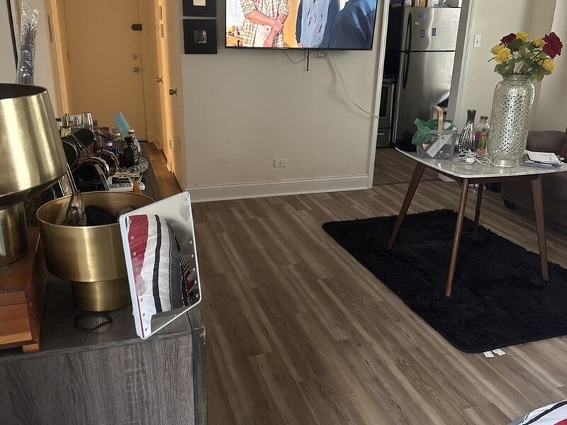 7363 S South Shore Drive Chicago IL 60649