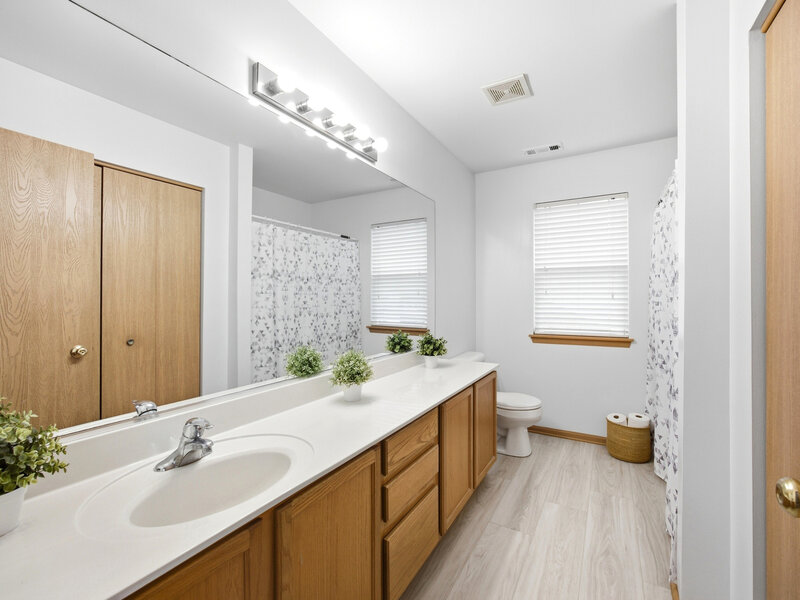 1896 Sedgegrass Trail Aurora IL 60504