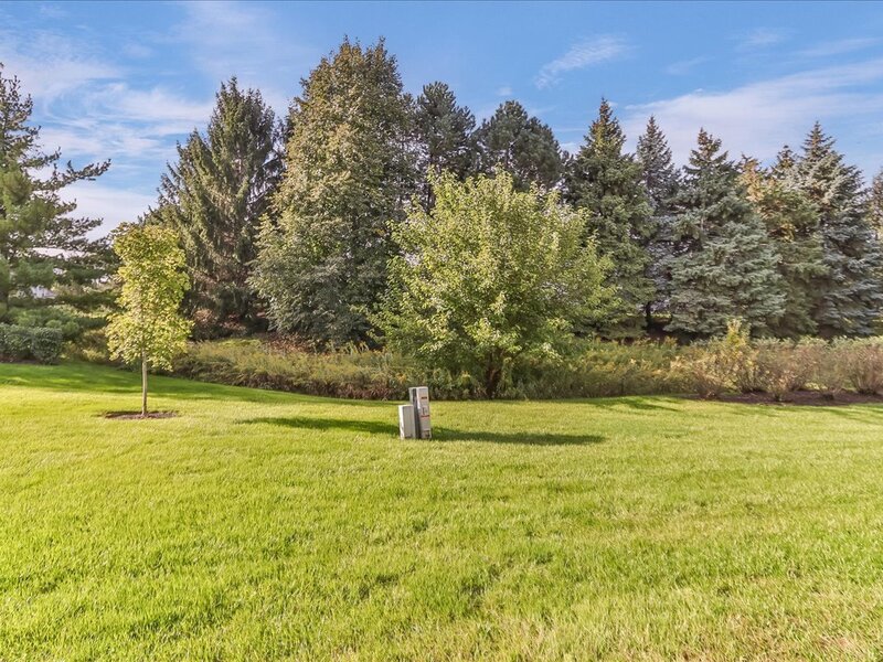 1521 Brittania Way Roselle IL 60172