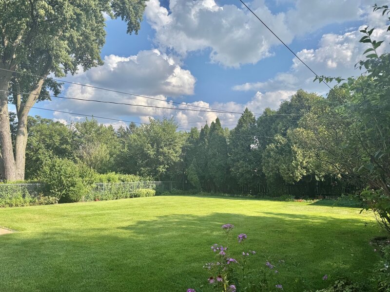 1205 E Ironwood Drive Mount Prospect IL 60056
