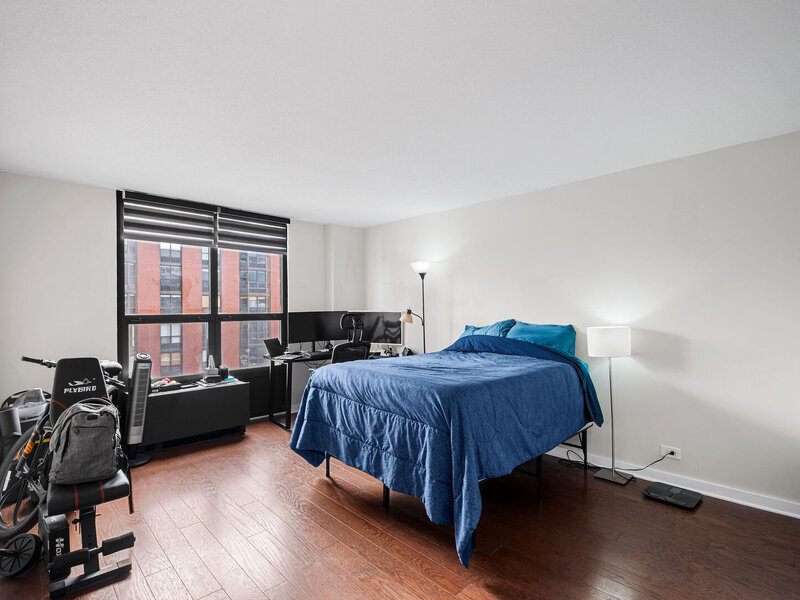 899 S Plymouth Court Chicago IL 60605
