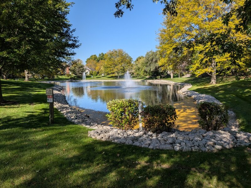 305 Stonefield Court Schaumburg IL 60173