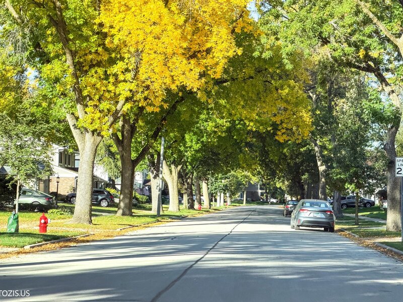 415 W Noyes Street Arlington Heights IL 60005