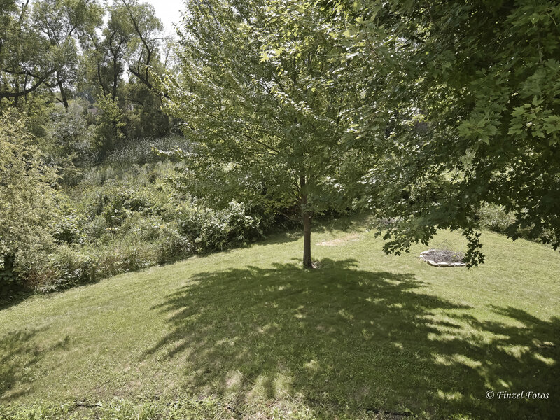 1290 Savanna Lane Woodstock IL 60098