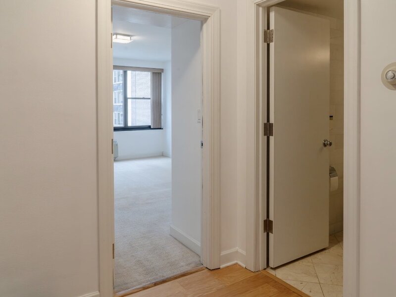 850 N Dewitt Place Chicago IL 60611
