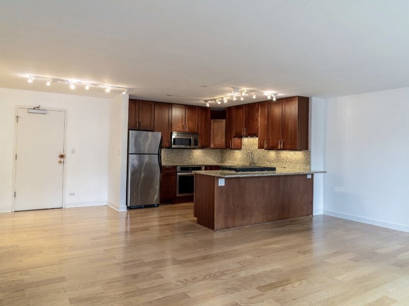 850 N Dewitt Place Chicago IL 60611