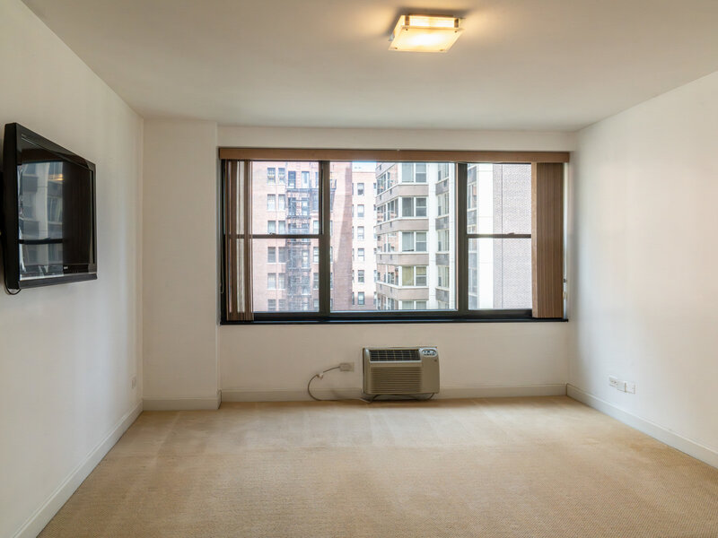 850 N Dewitt Place Chicago IL 60611