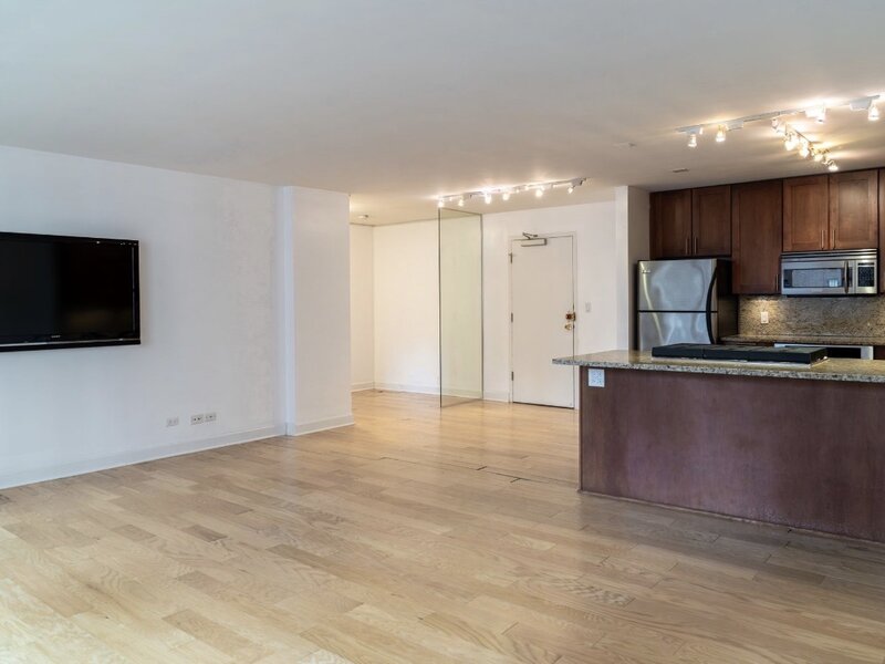 850 N Dewitt Place Chicago IL 60611