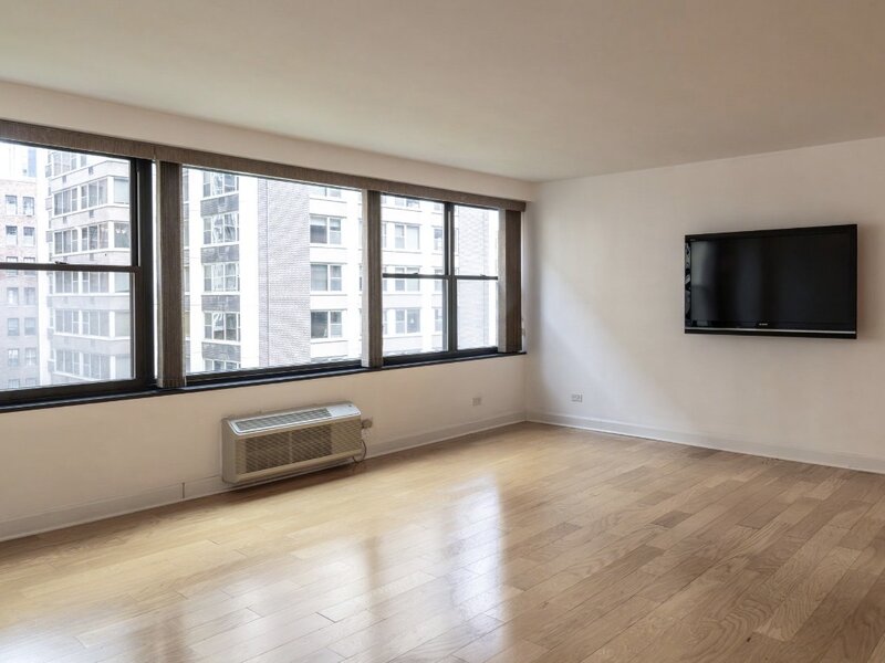 850 N Dewitt Place Chicago IL 60611