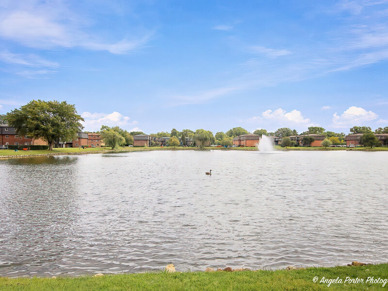 9402 Bay Colony Drive Des Plaines IL 60016