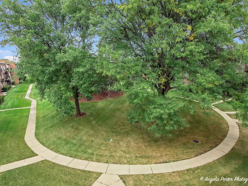 9402 Bay Colony Drive Des Plaines IL 60016