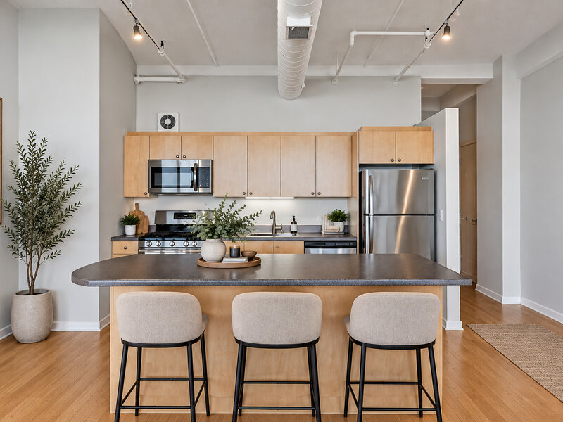 633 S Plymouth Court Chicago IL 60605