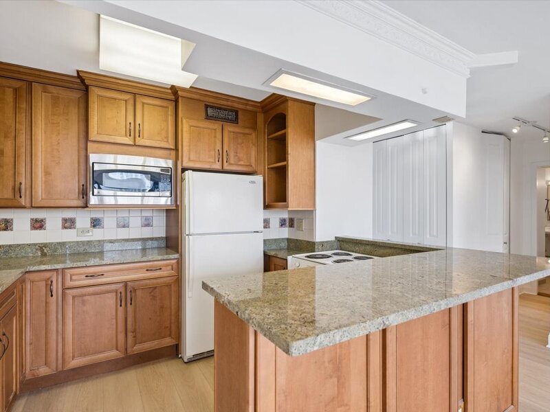 1360 N Sandburg Terrace Chicago IL 60610