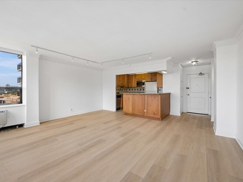 1360 N Sandburg Terrace Chicago IL 60610