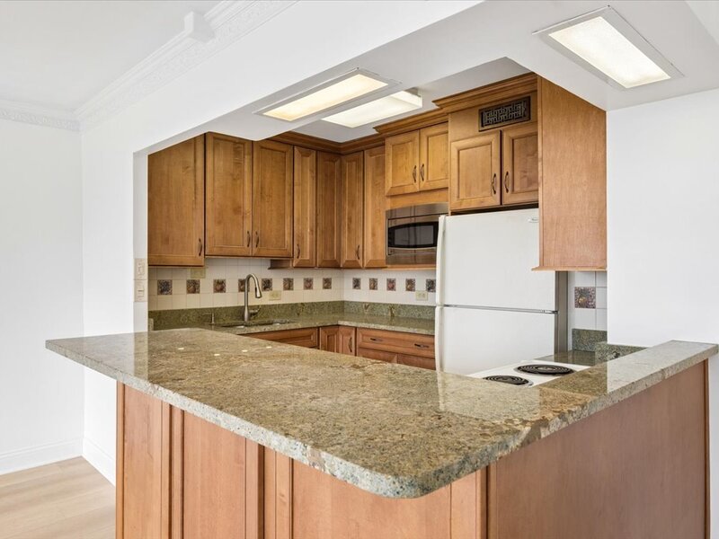 1360 N Sandburg Terrace Chicago IL 60610