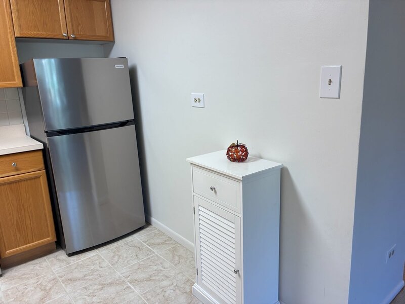 201 S Maple Avenue Oak Park IL 60302