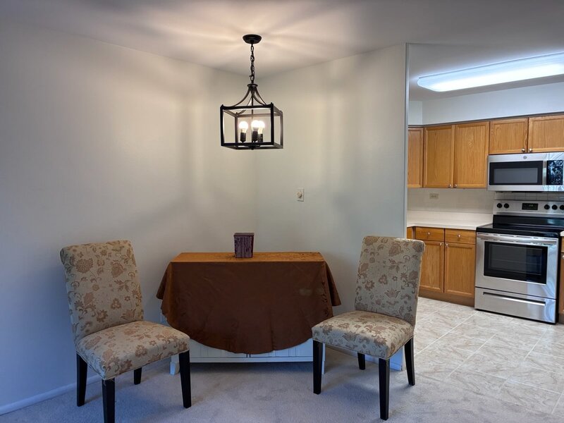 201 S Maple Avenue Oak Park IL 60302