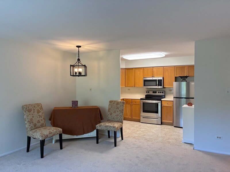 201 S Maple Avenue Oak Park IL 60302
