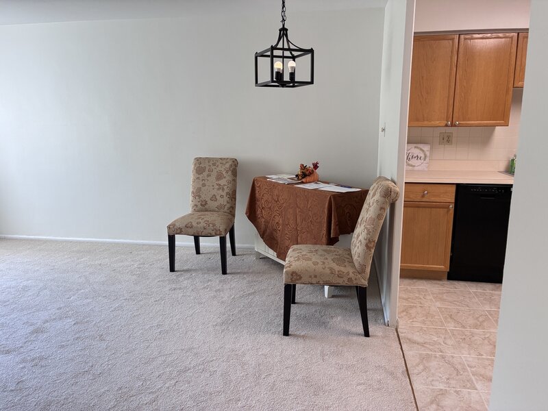 201 S Maple Avenue Oak Park IL 60302