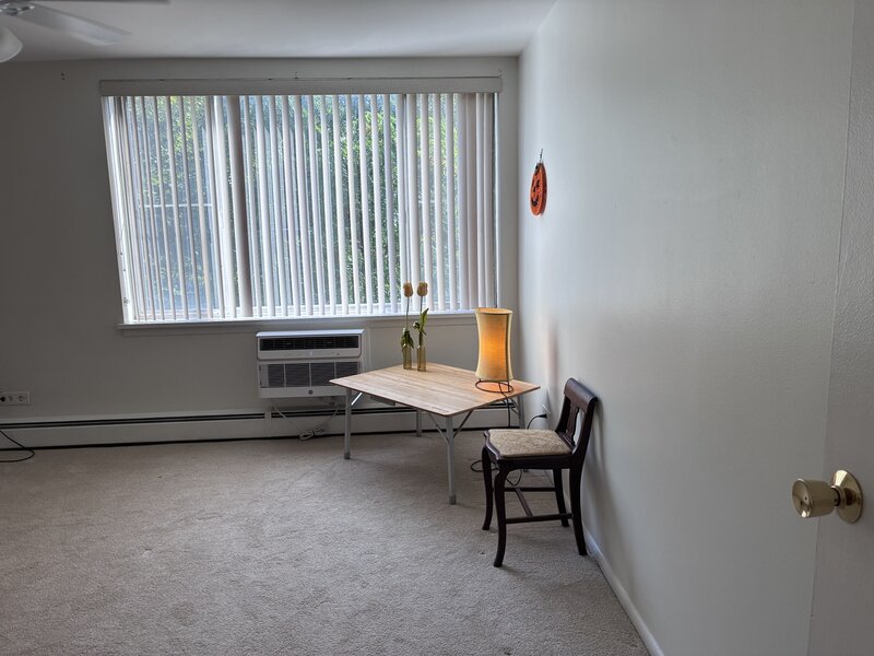 201 S Maple Avenue Oak Park IL 60302