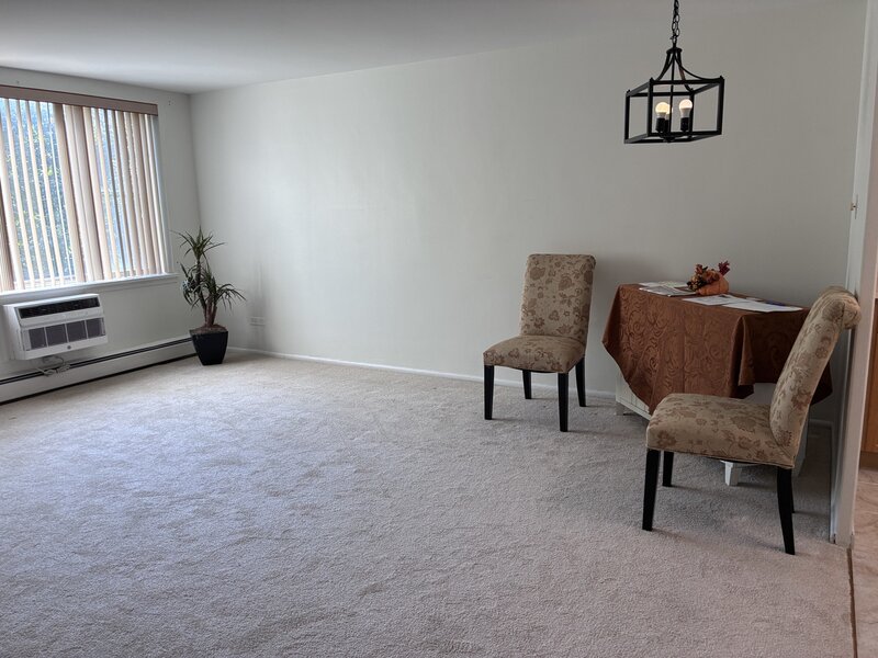 201 S Maple Avenue Oak Park IL 60302