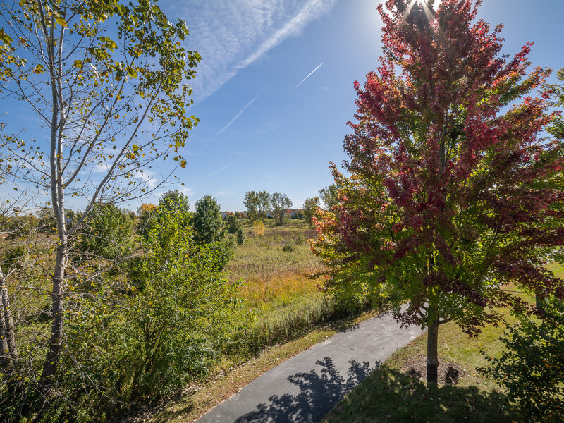 16847 Ivy Lane Lockport IL 60441