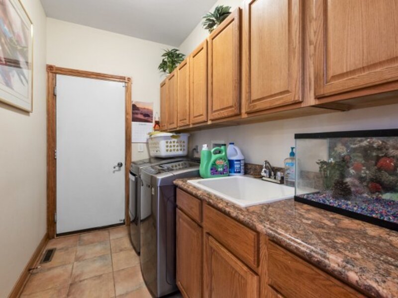 1527 Dunfries Street Flossmoor IL 60422