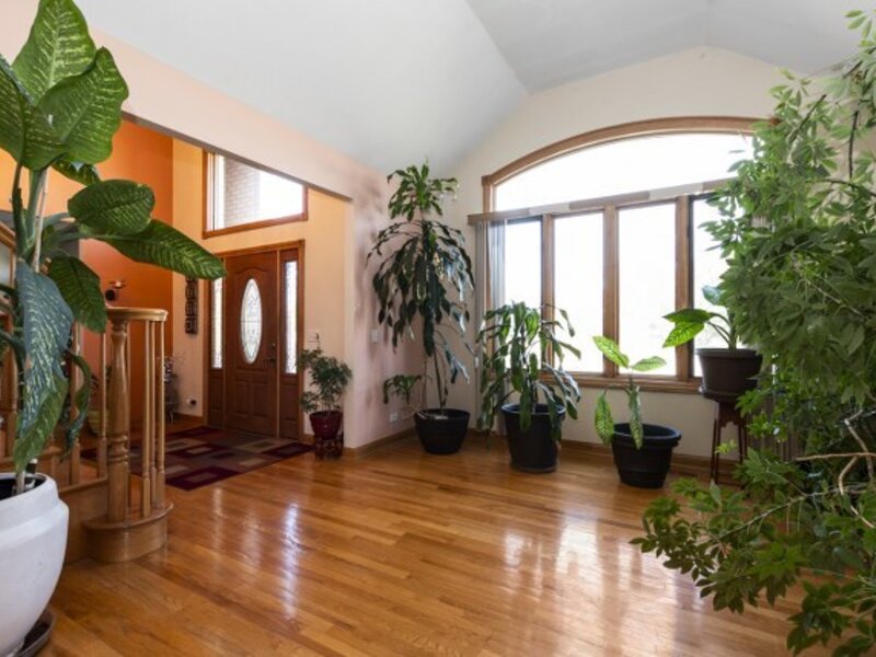 1527 Dunfries Street Flossmoor IL 60422