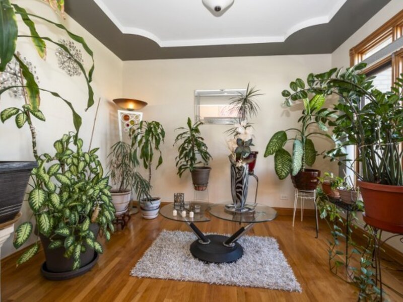 1527 Dunfries Street Flossmoor IL 60422