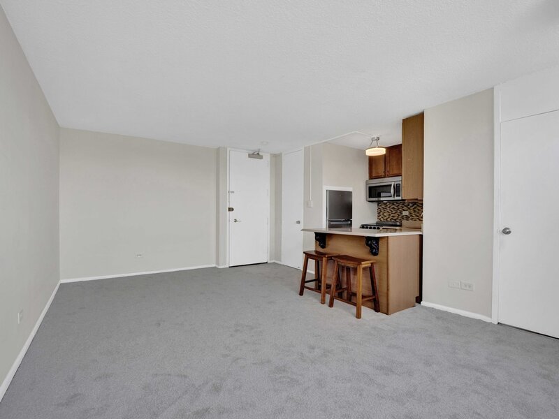 3110 N Sheridan Road Chicago IL 60657